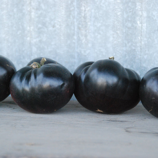 Four black tomatoes lined up on a wooden surface with a light gray background