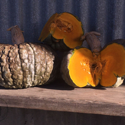 Two pumpkins, one whole and one cut in half, on a wooden surface with a corrugated metal background.