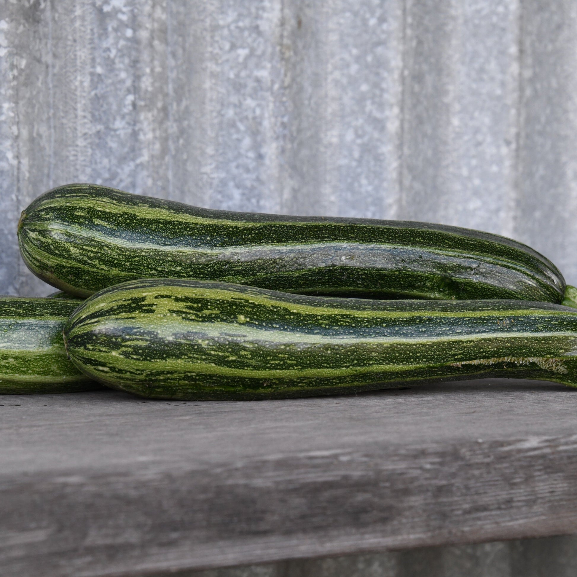Two green zucchinis on a wooden surface with a metallic background