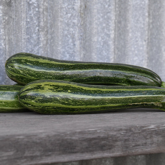 Two green zucchinis on a wooden surface with a metallic background