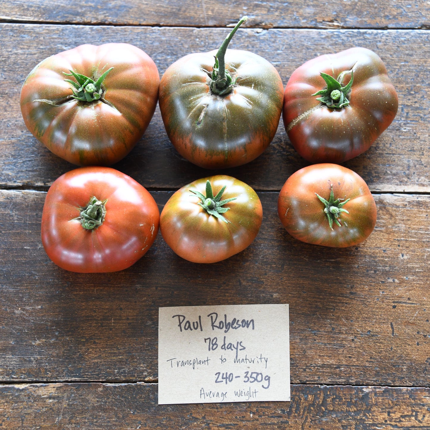 Tomato 'Paul Robeson'