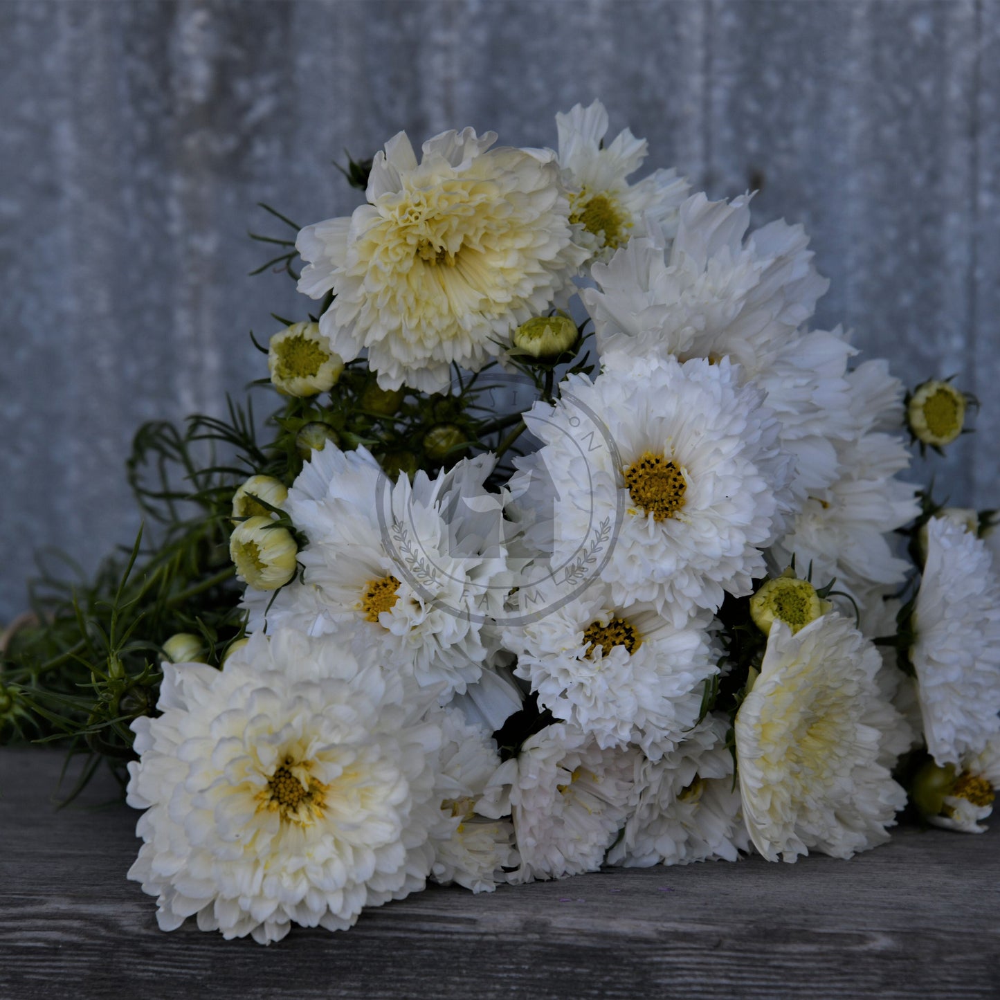 Bouquet of white and yellow flowers on a wooden surface with a textured gray background