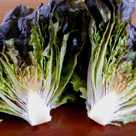 Two heads of green leafy lettuce on a wooden surface