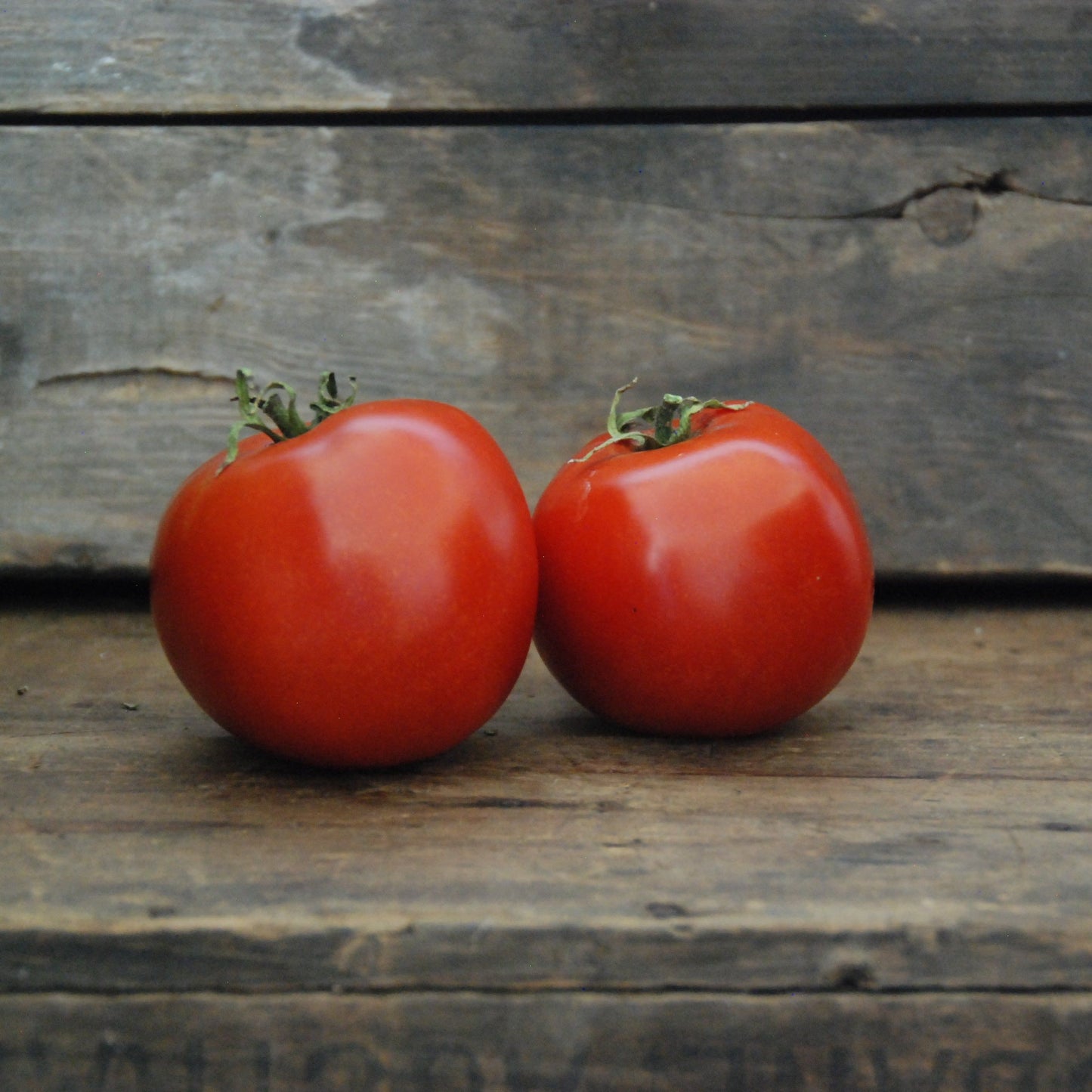 Two red tomatoes on a wooden surface