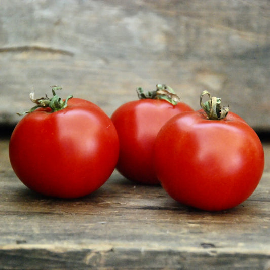 Summer Seeds Collection