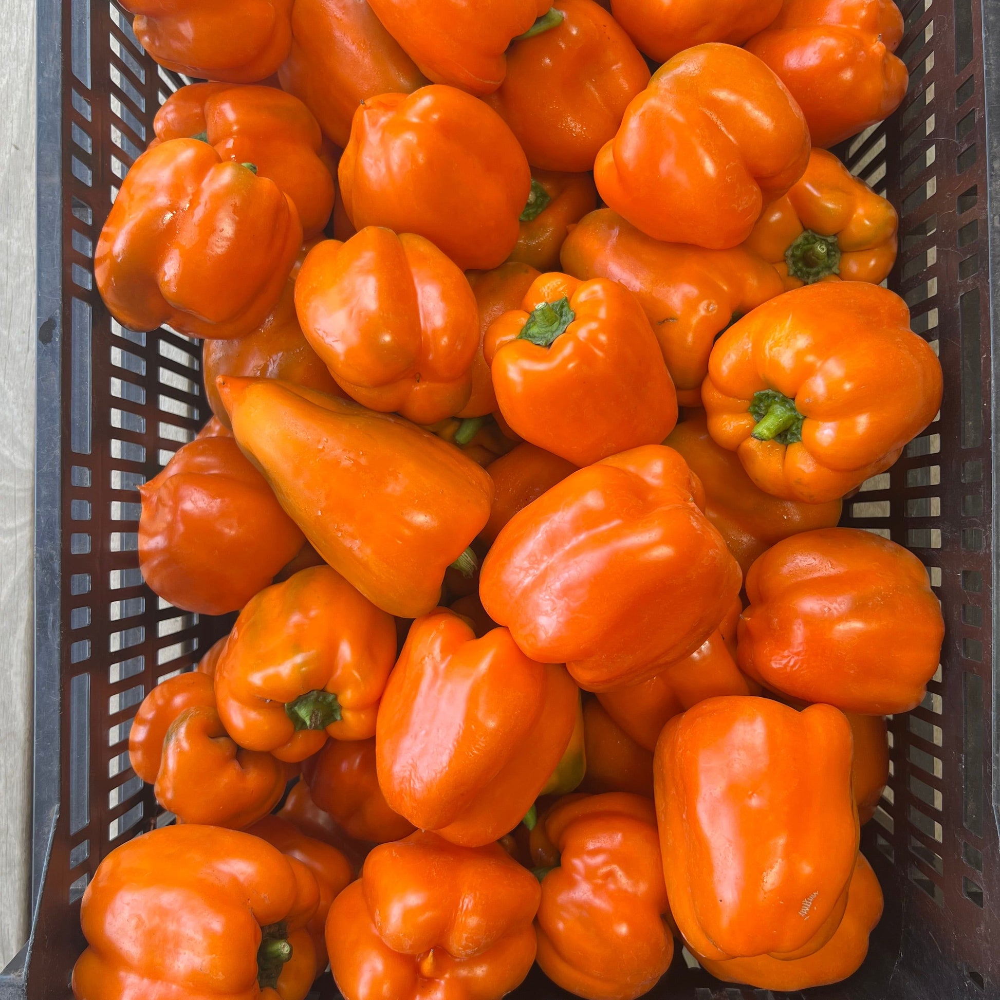 Basket filled with bright orange bell peppers on a wooden surface