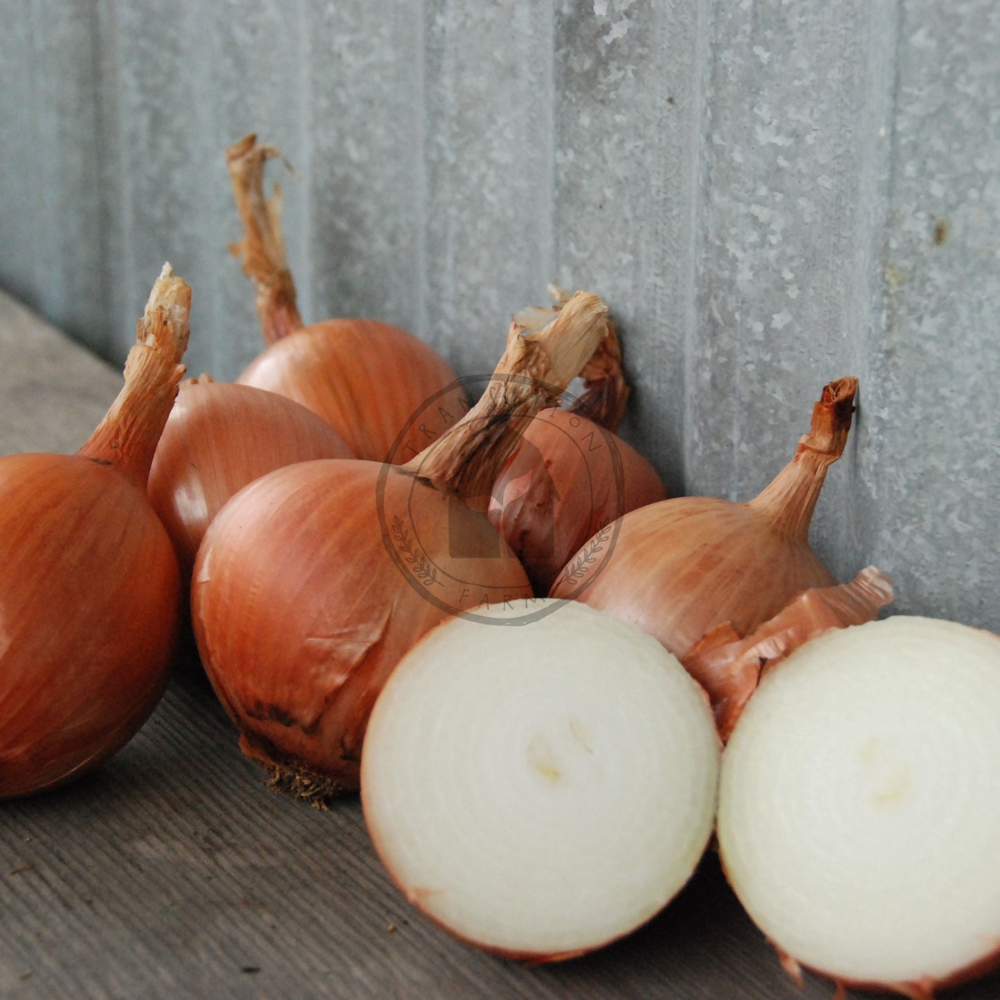 Onions on a wooden surface with a metal wall background