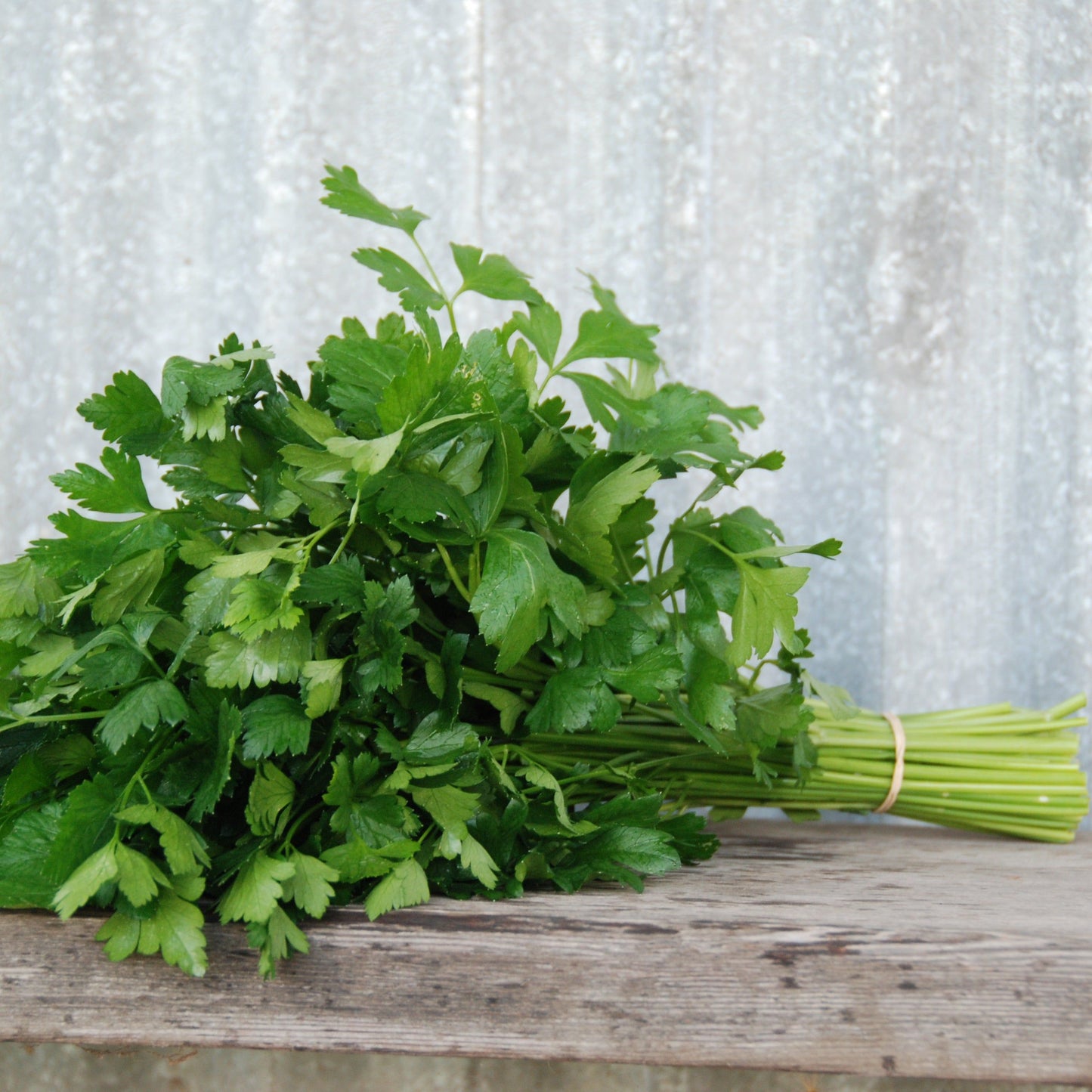 Bunch of fresh green parsley on a wooden surface with a rustic metal background