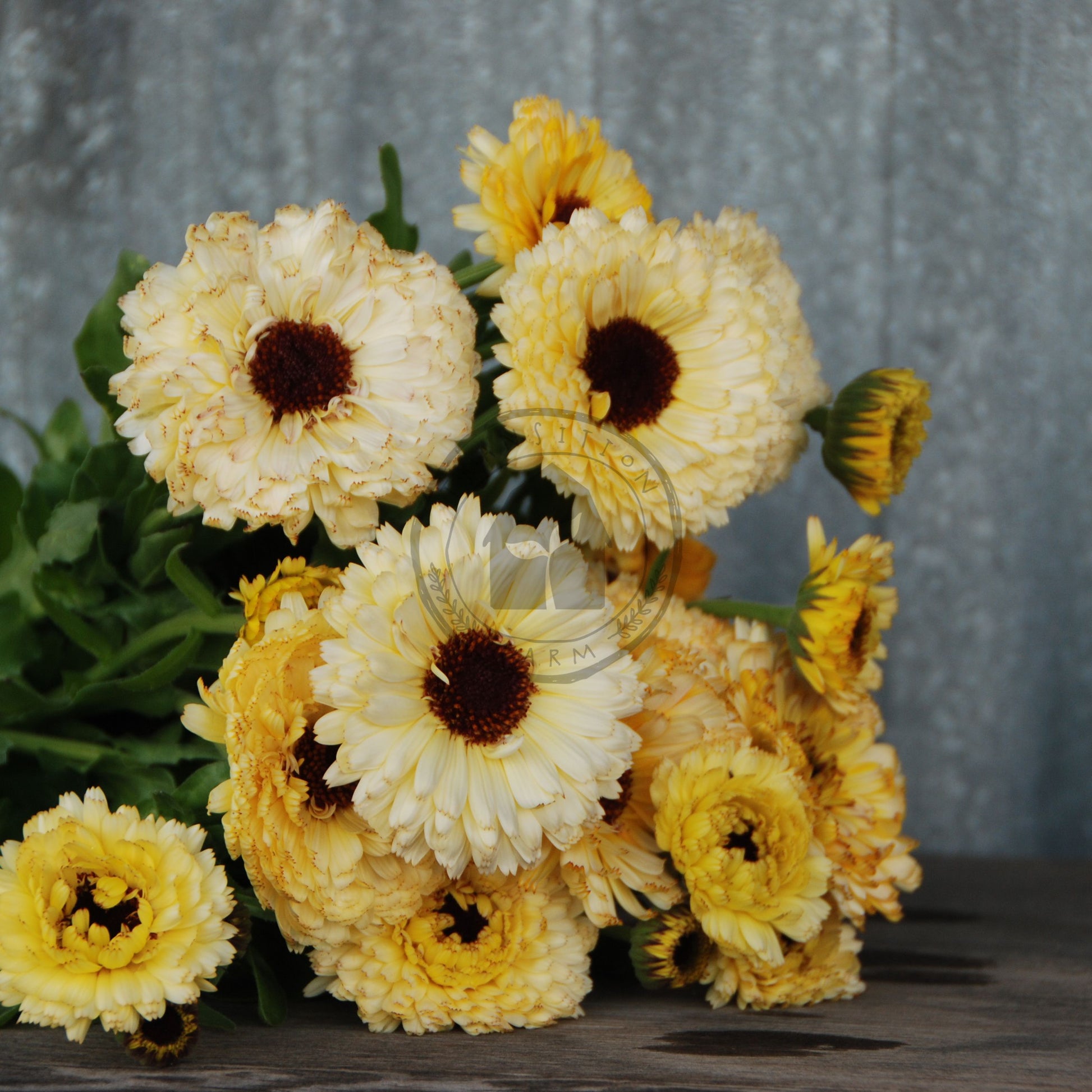 Bouquet of yellow flowers on a wooden surface with a gray textured background