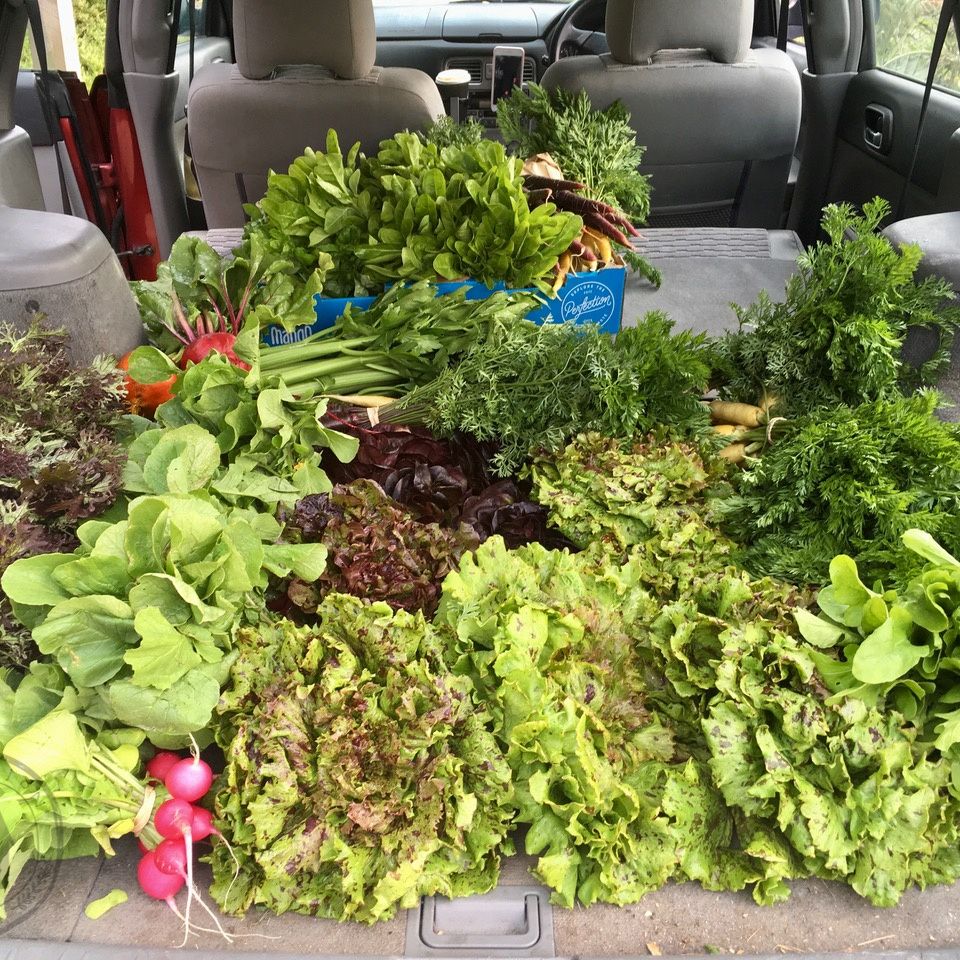 Assorted fresh vegetables in the back of a car