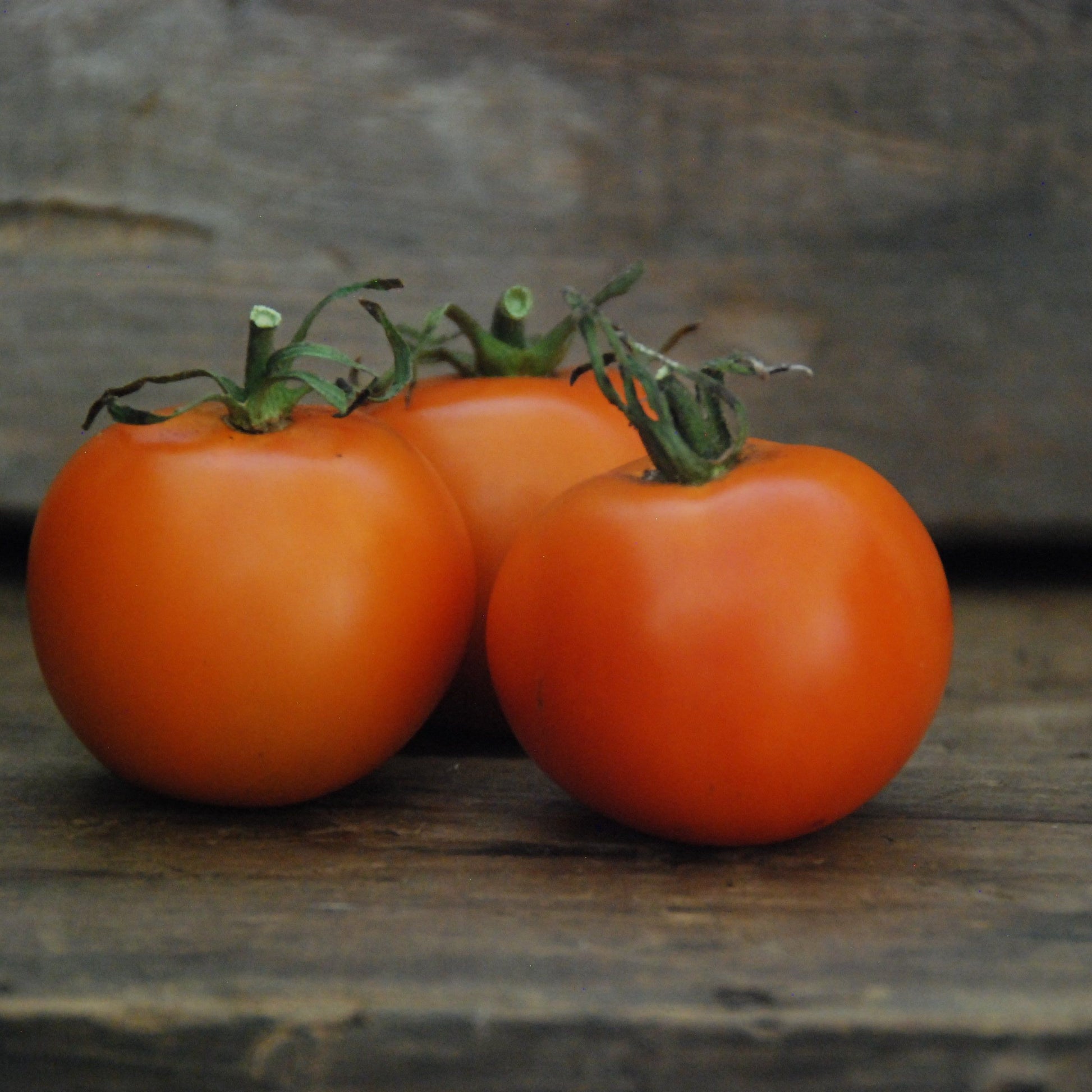Three orange tomatoes on a wooden surface with a blurred background