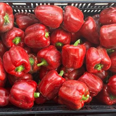 Basket filled with red bell peppers