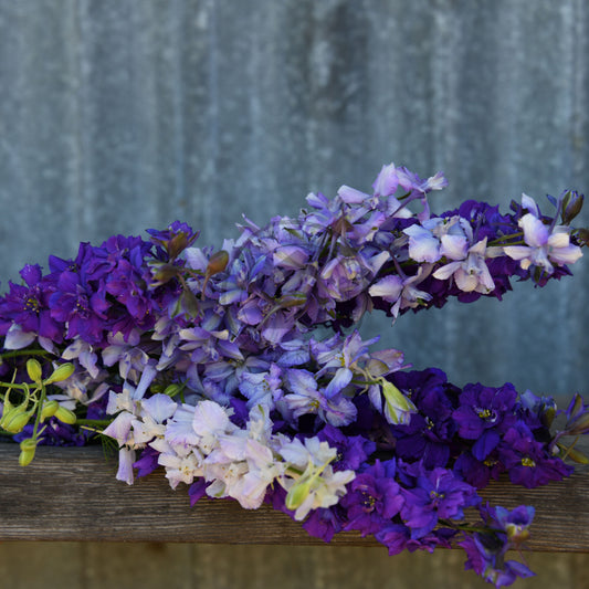 Bouquet of purple and white flowers on a wooden surface with a textured gray background