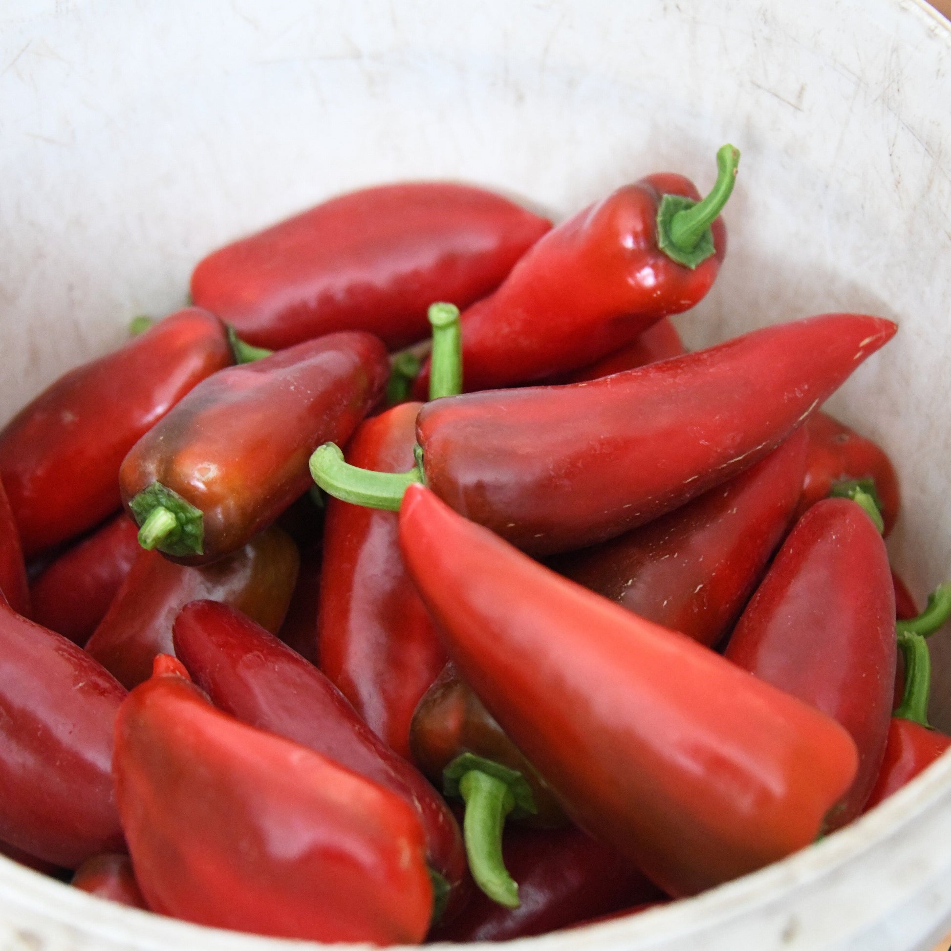 Red peppers in a white bowl on a wooden surface