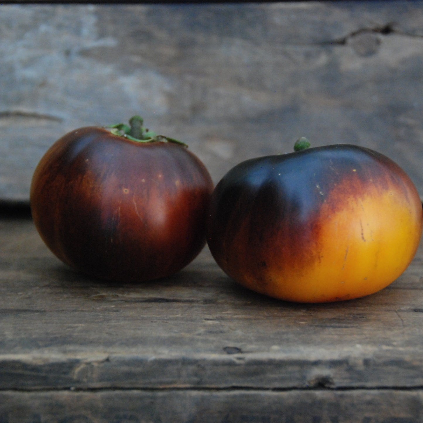 Two dark red and orange tomatoes on a wooden surface