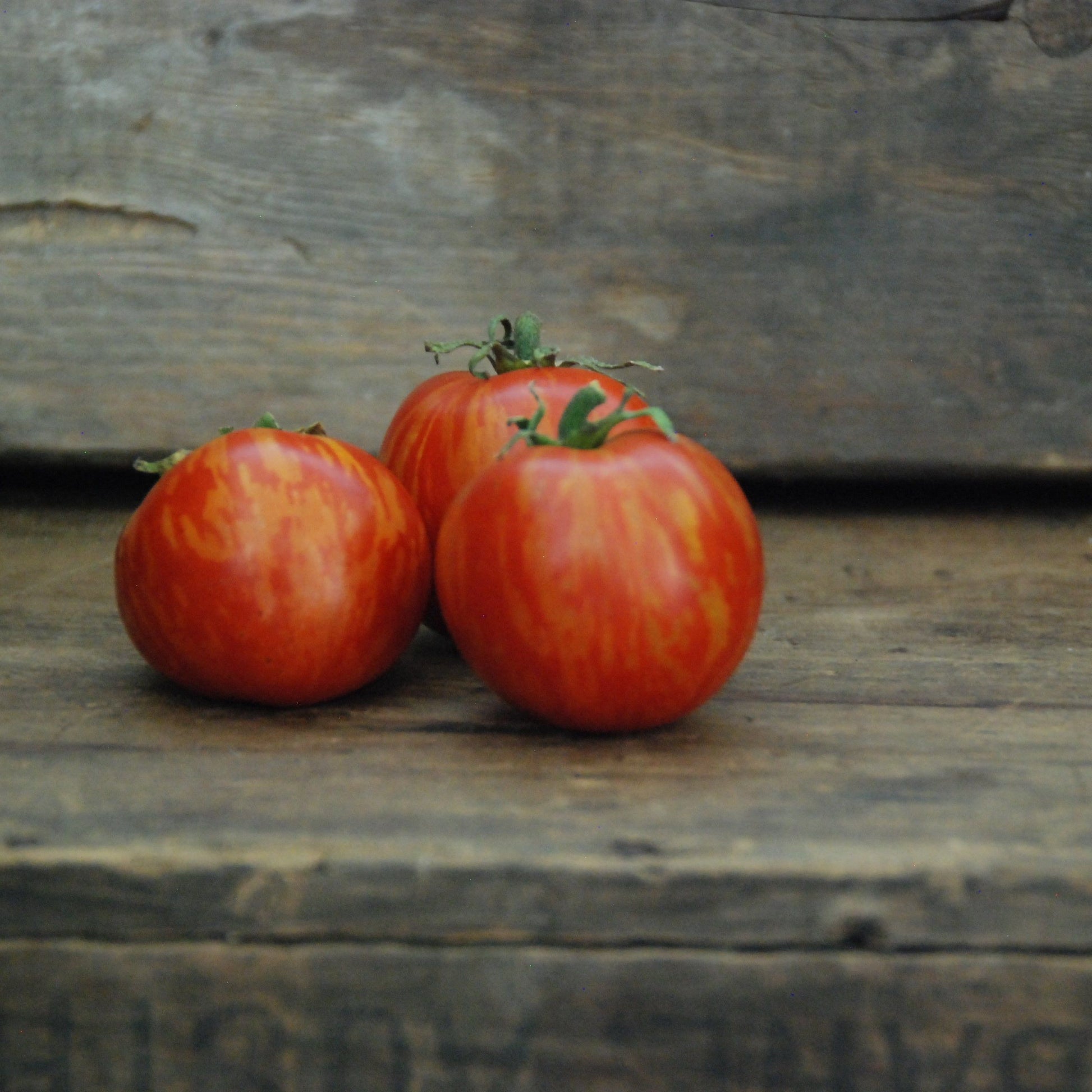Three red tomatoes on a wooden surface