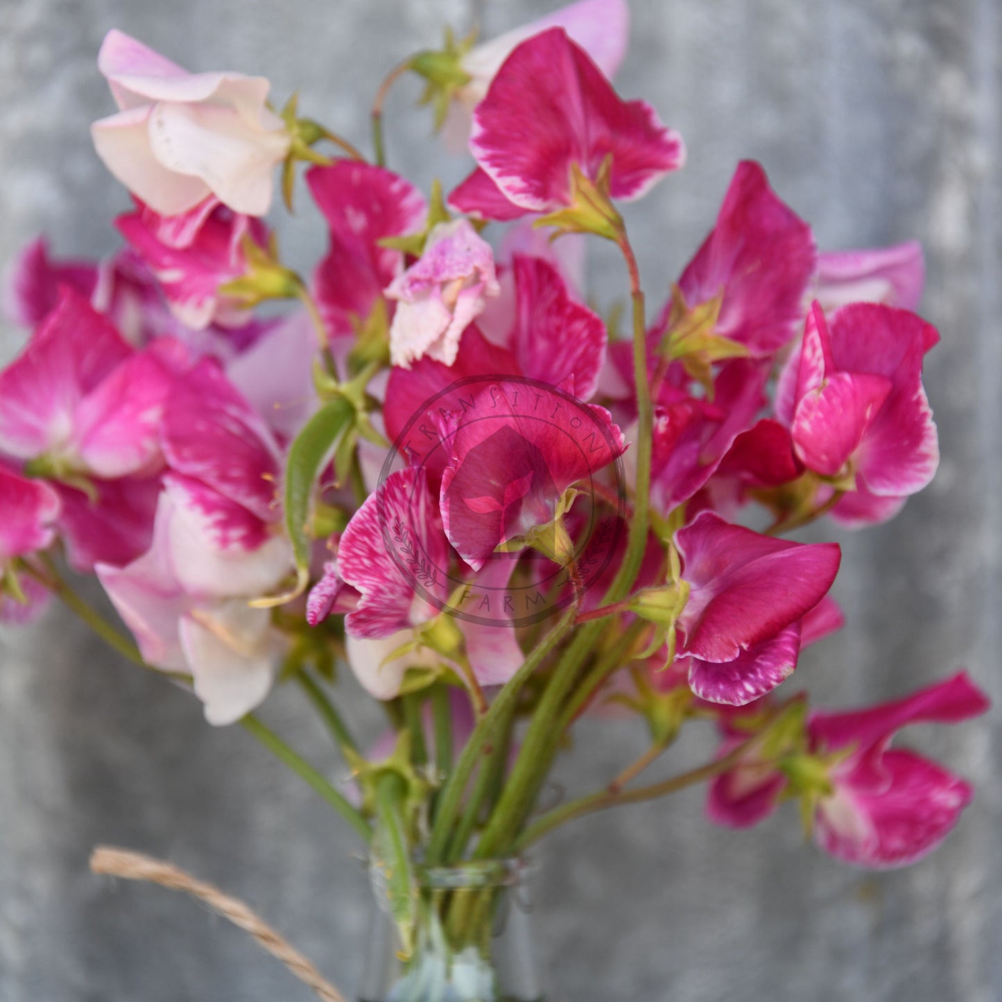 Bouquet of pink and white flowers in a clear vase against a gray background
