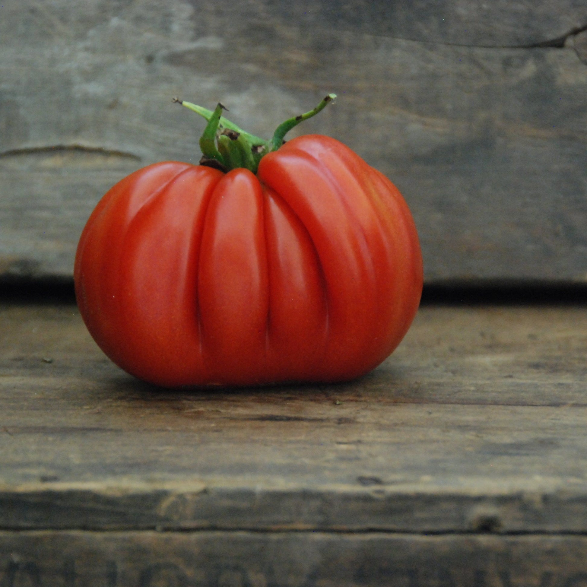 Red tomato on a wooden surface