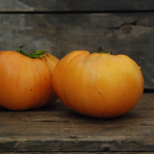 Two orange yellow tomatoes on a wooden surface with a rustic background