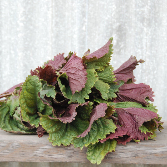 Bouquet of green and purple leaves on a wooden surface with a white textured background