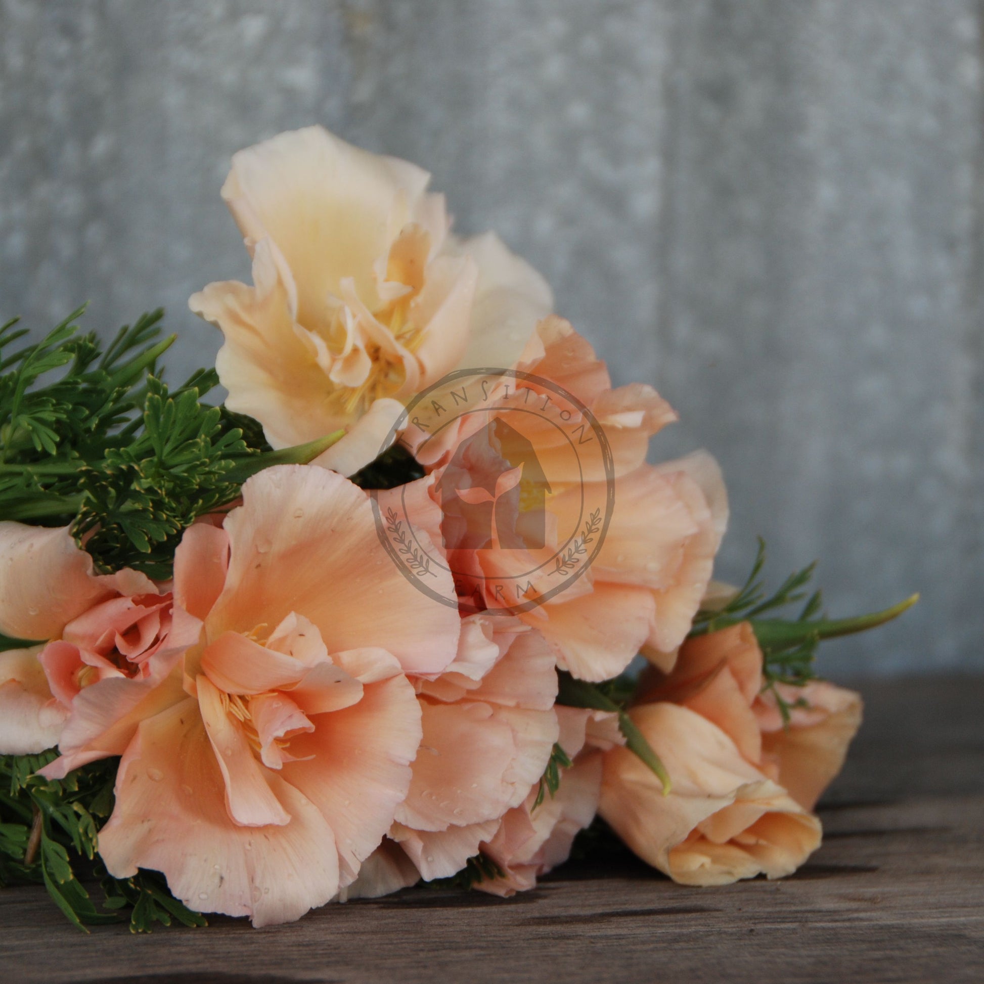 Bouquet of peach-colored flowers on a wooden surface with a blurred background