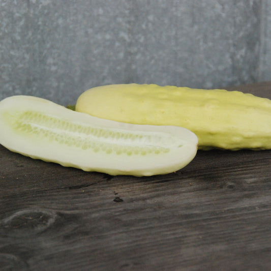 Two silver slicer cucumbers on a wooden surface with a gray background