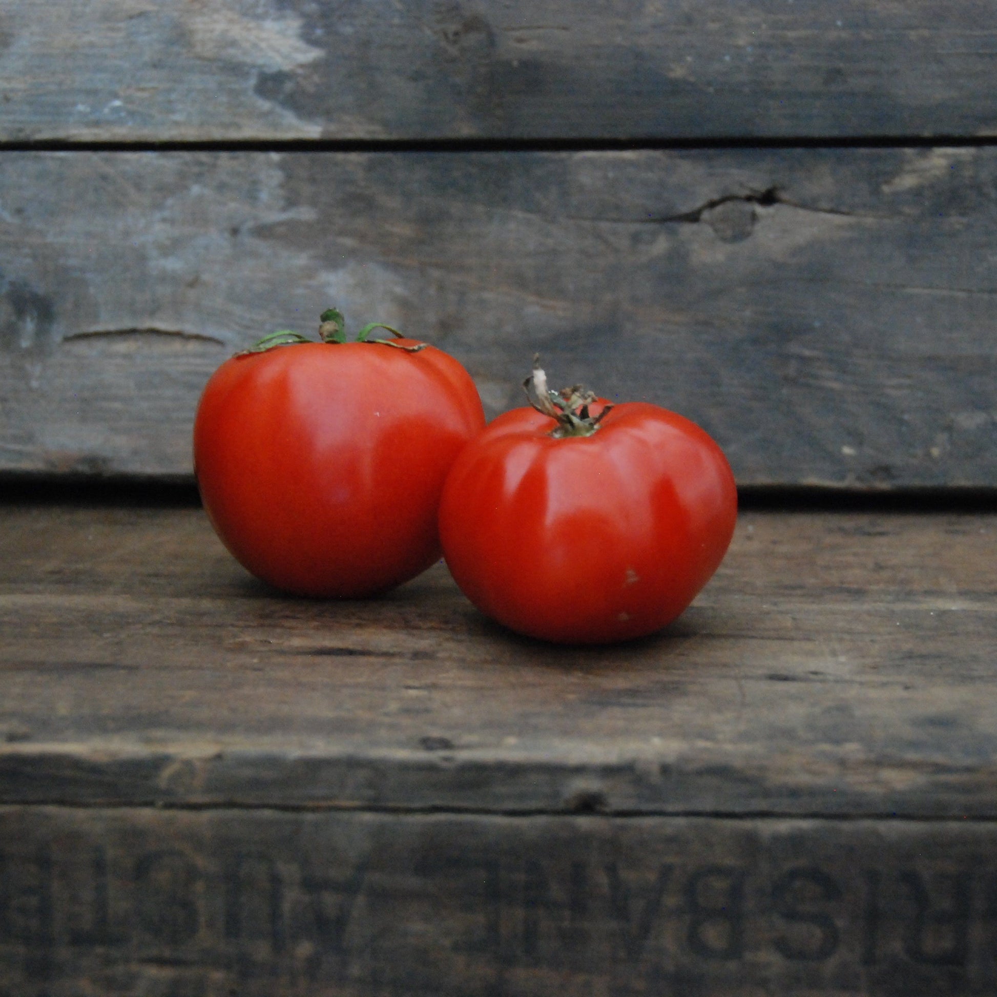 Two red tomatoes on a wooden surface