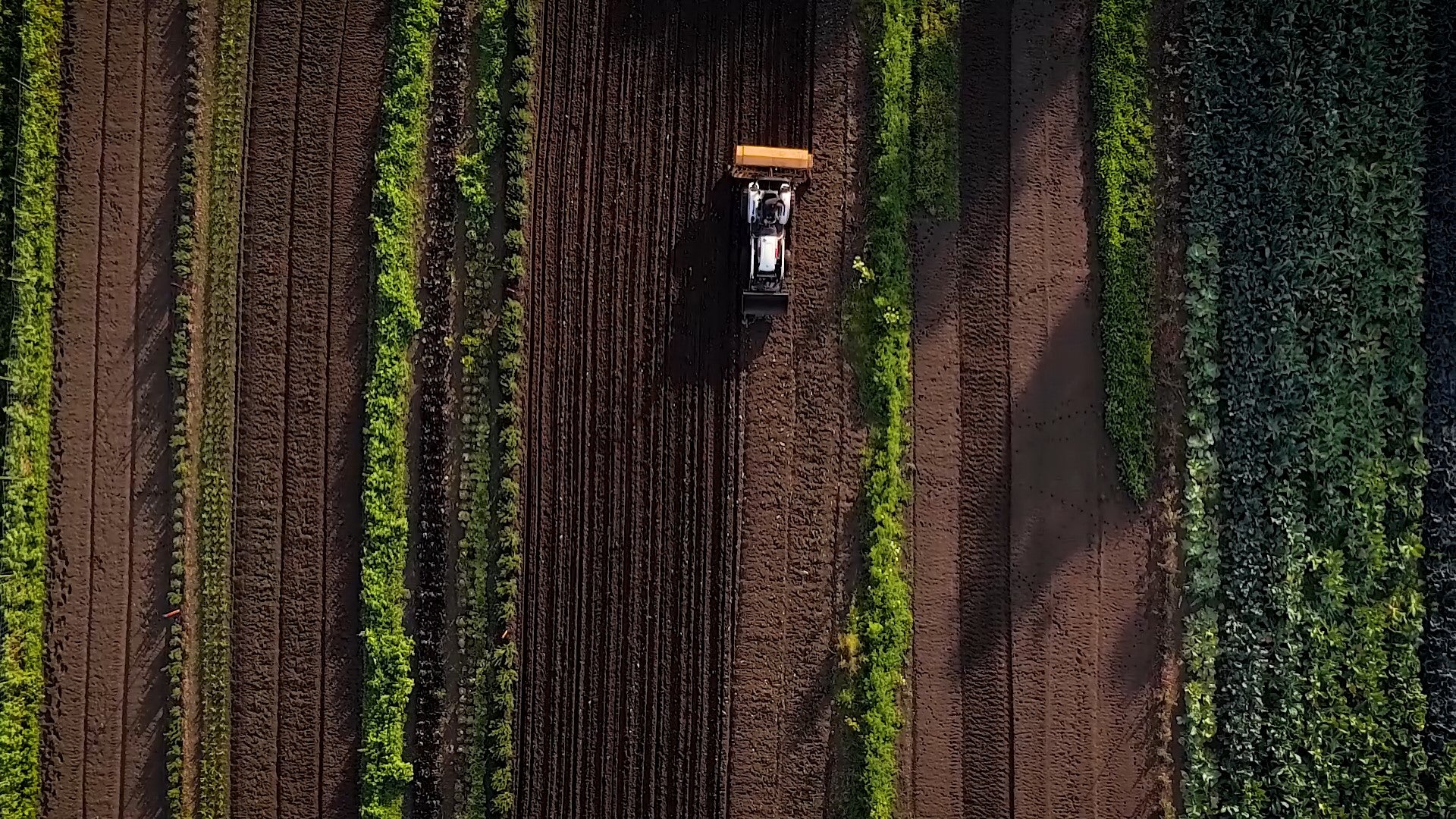 Tractor working in a field from an aerial perspective