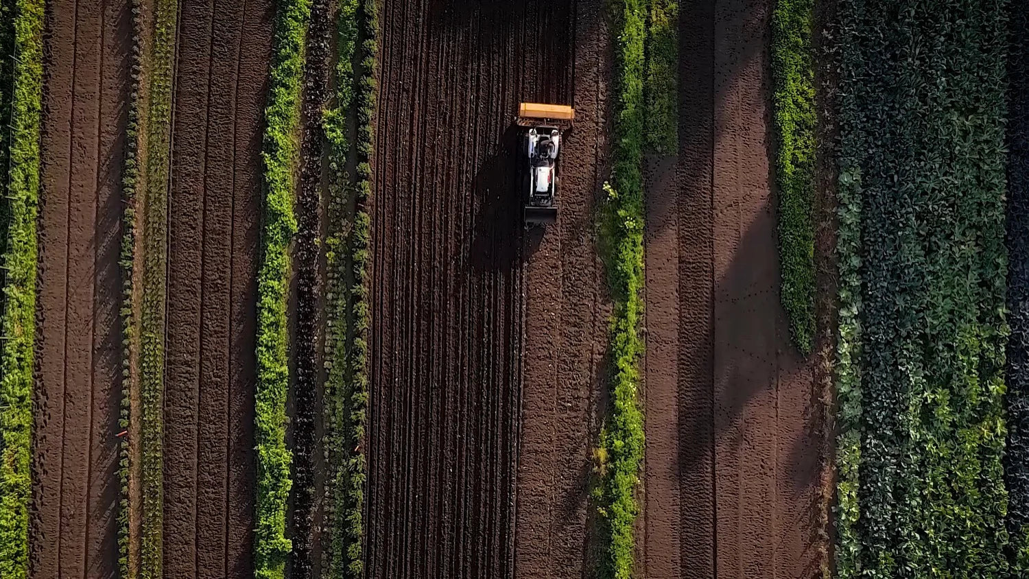 Tractor in a field from an aerial perspective