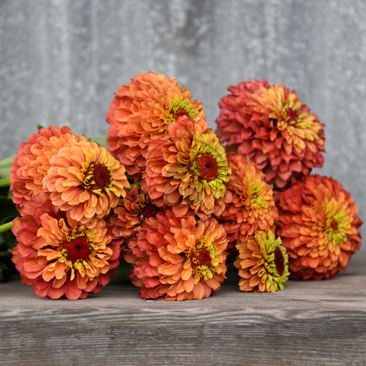 Bouquet of orange and red flowers on a wooden surface with a gray background