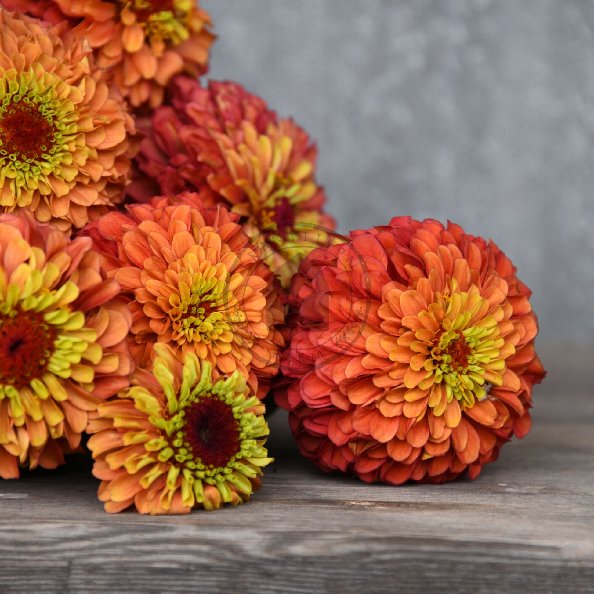 Bouquet of orange and yellow flowers on a wooden surface with a gray background
