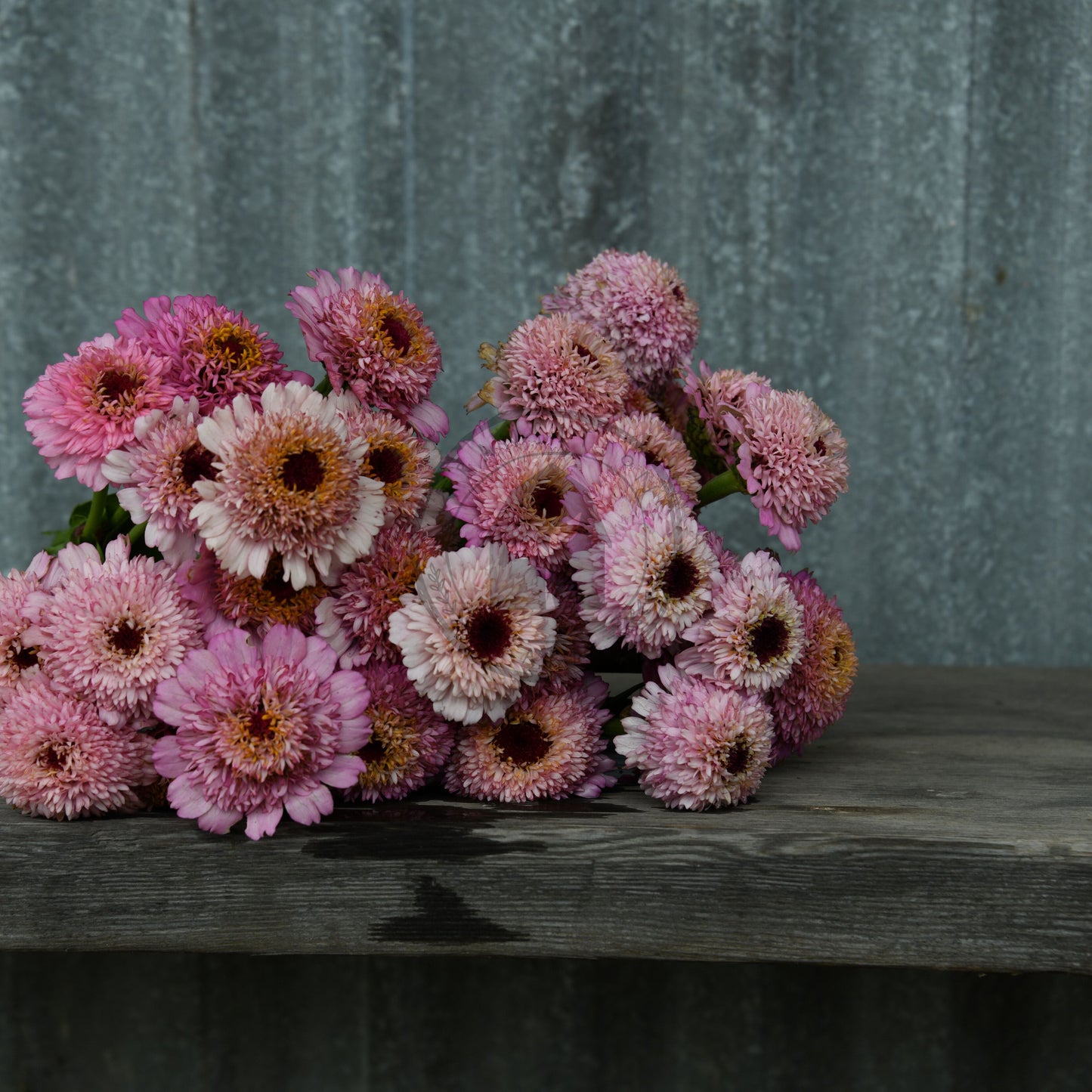 Bouquet of pink and brown flowers on a wooden surface with a textured gray background