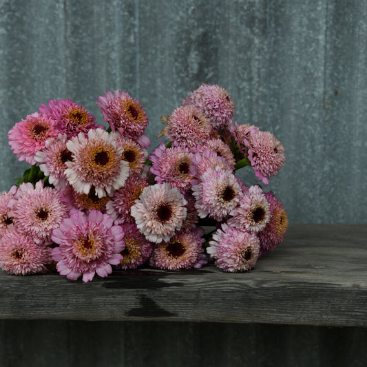 Bouquet of pink and brown flowers on a wooden surface with a textured gray background