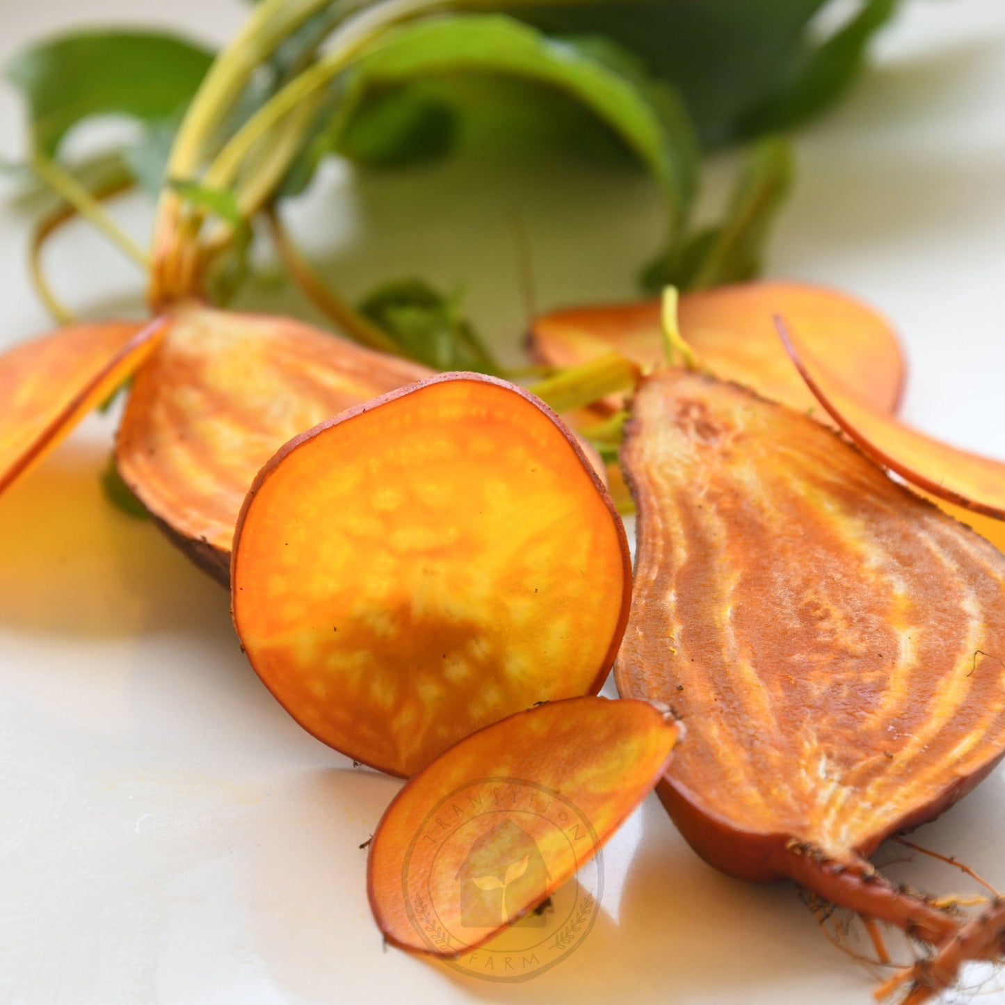 Beetroot 'Badger Flame'