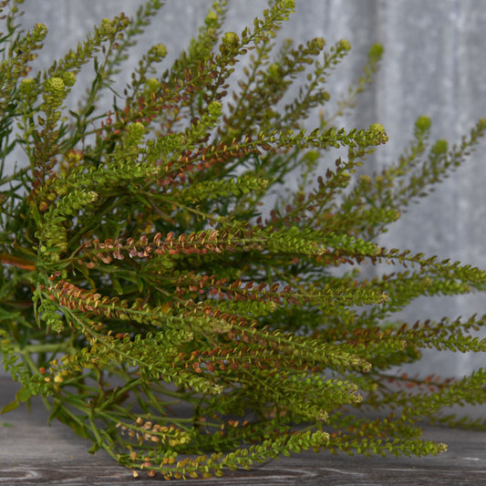 Bouquet of greenery on a wooden surface with a gray background