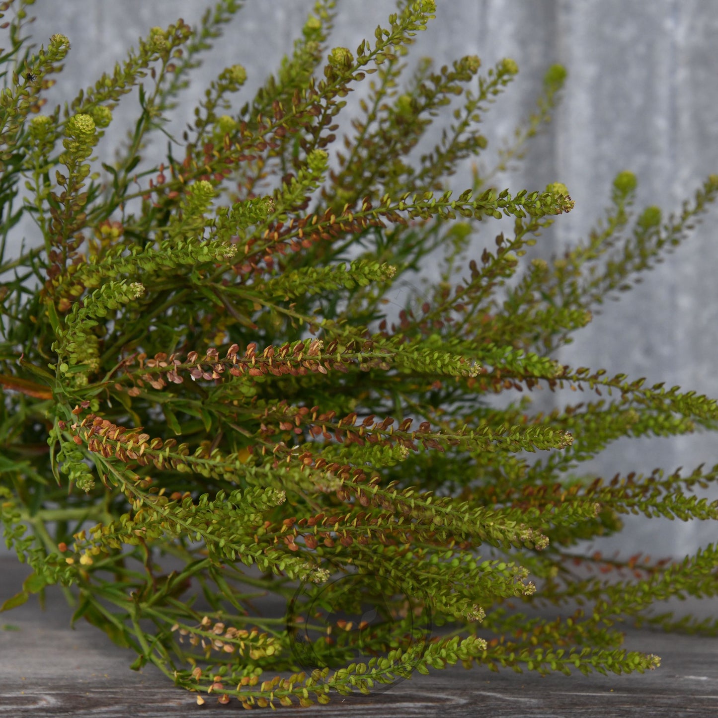 Bouquet of greenery on a wooden surface with a gray background