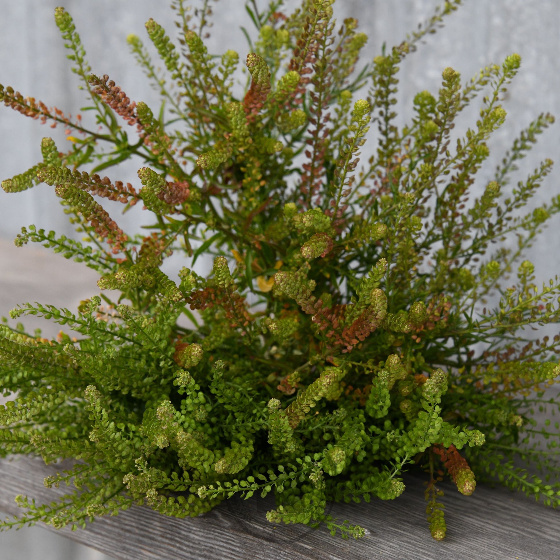 Bouquet of green and red artificial plants on a wooden surface with a neutral background