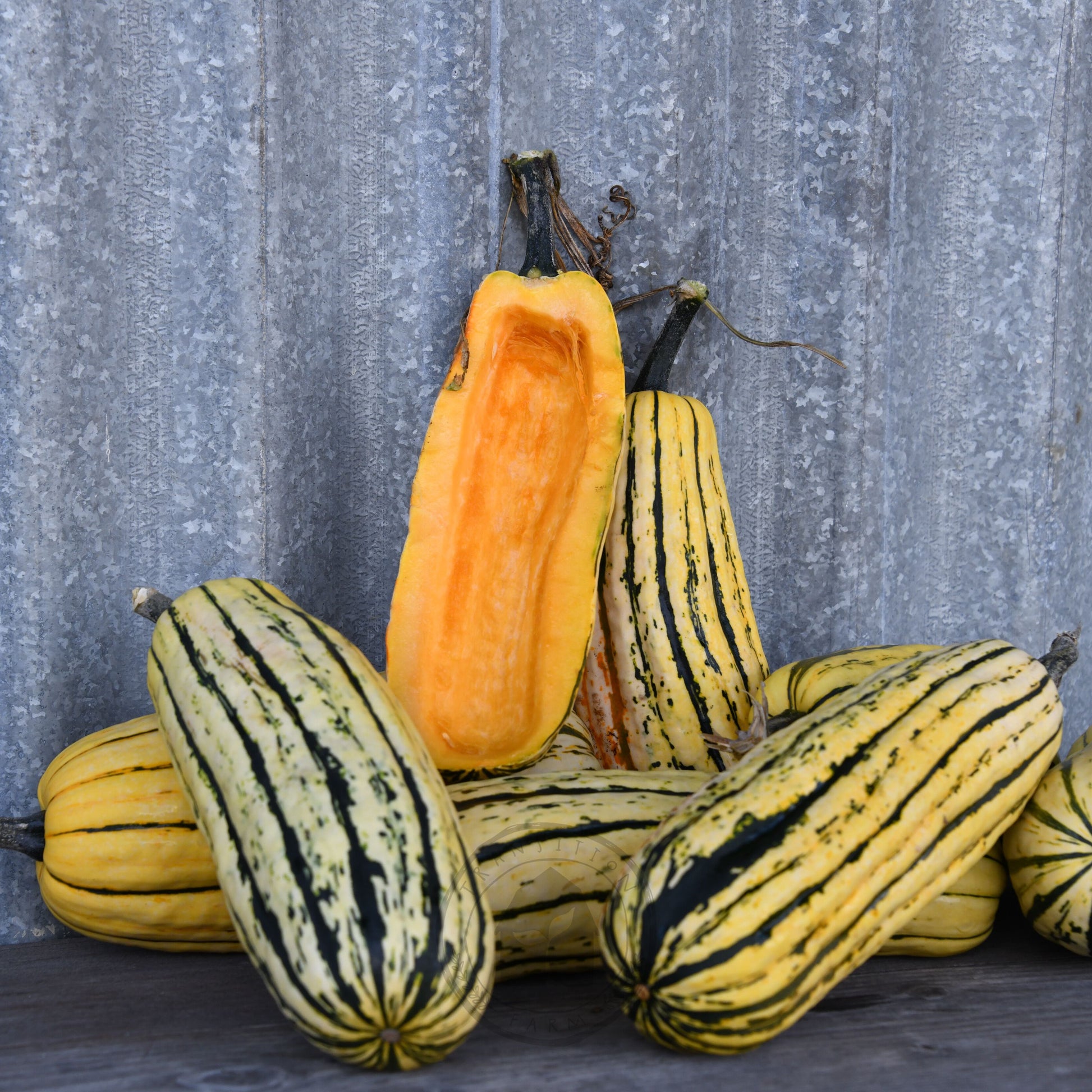 Group of striped gourds against a textured gray background