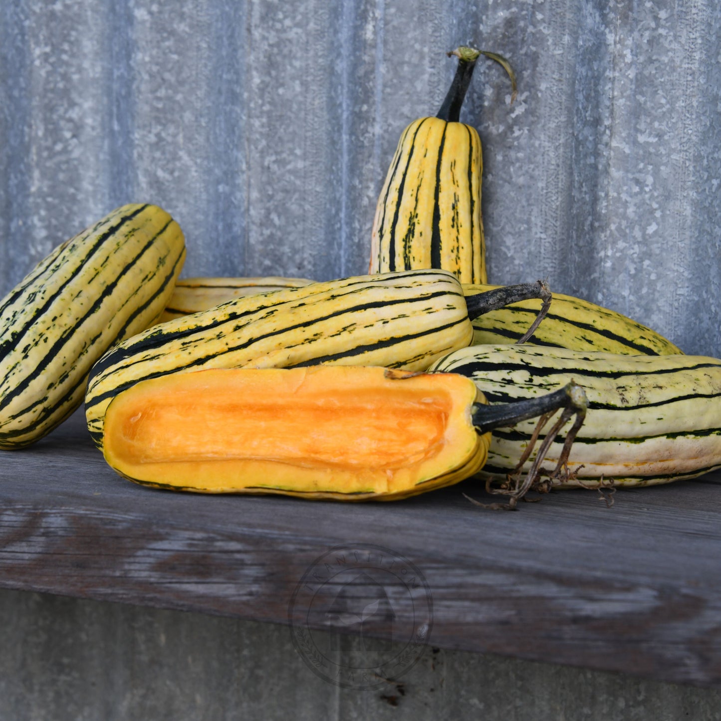 Striped gourds on a wooden surface with a corrugated metal background