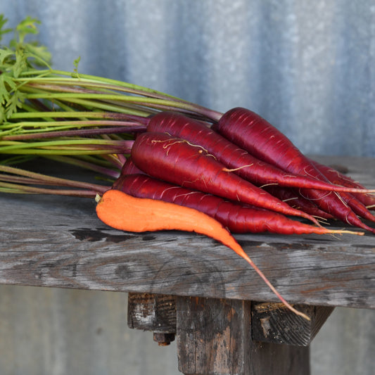 Carrot 'Dragon'