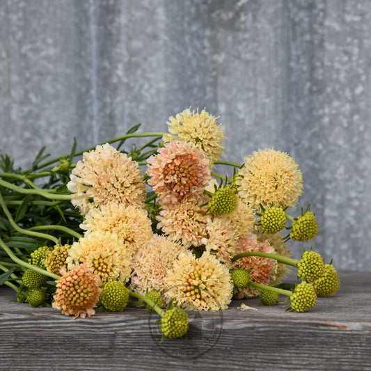 Bouquet of flowers on a wooden surface with a gray background