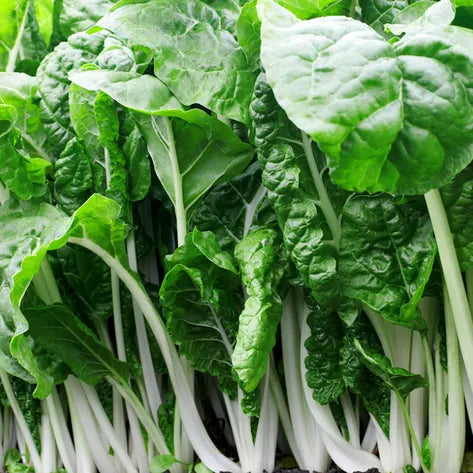 Close-up of fresh green spinach leaves with visible veins.