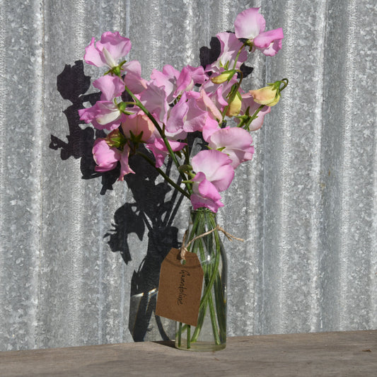 Pink flowers in a glass vase with a tag against a corrugated metal background