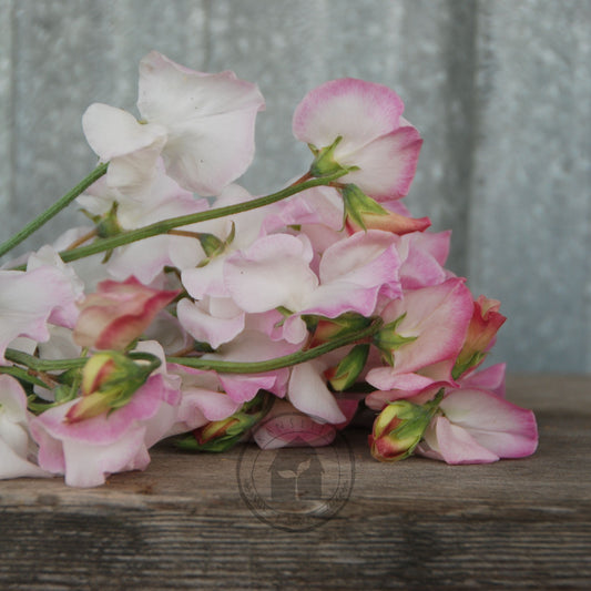 Bouquet of pink and white flowers on a wooden surface with a textured gray background