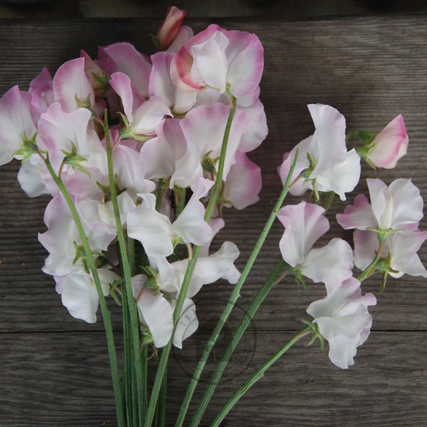Bouquet of pink and white flowers on a wooden surface
