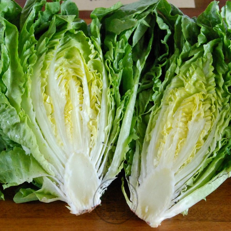 Two halves of a green lettuce on a wooden surface