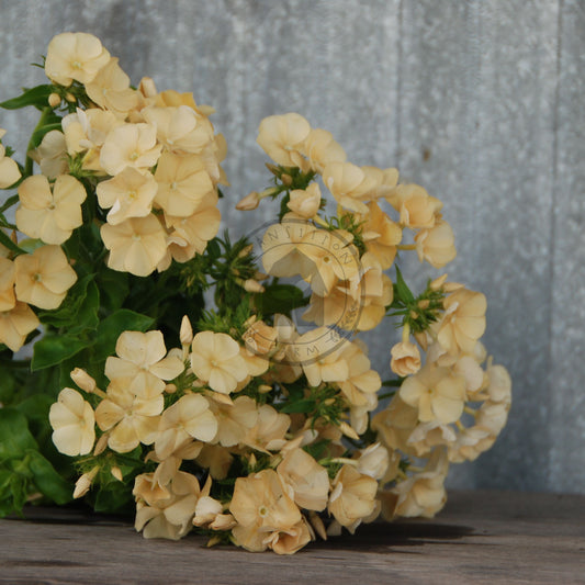 Bouquet of yellow flowers on a wooden surface with a rustic metal background