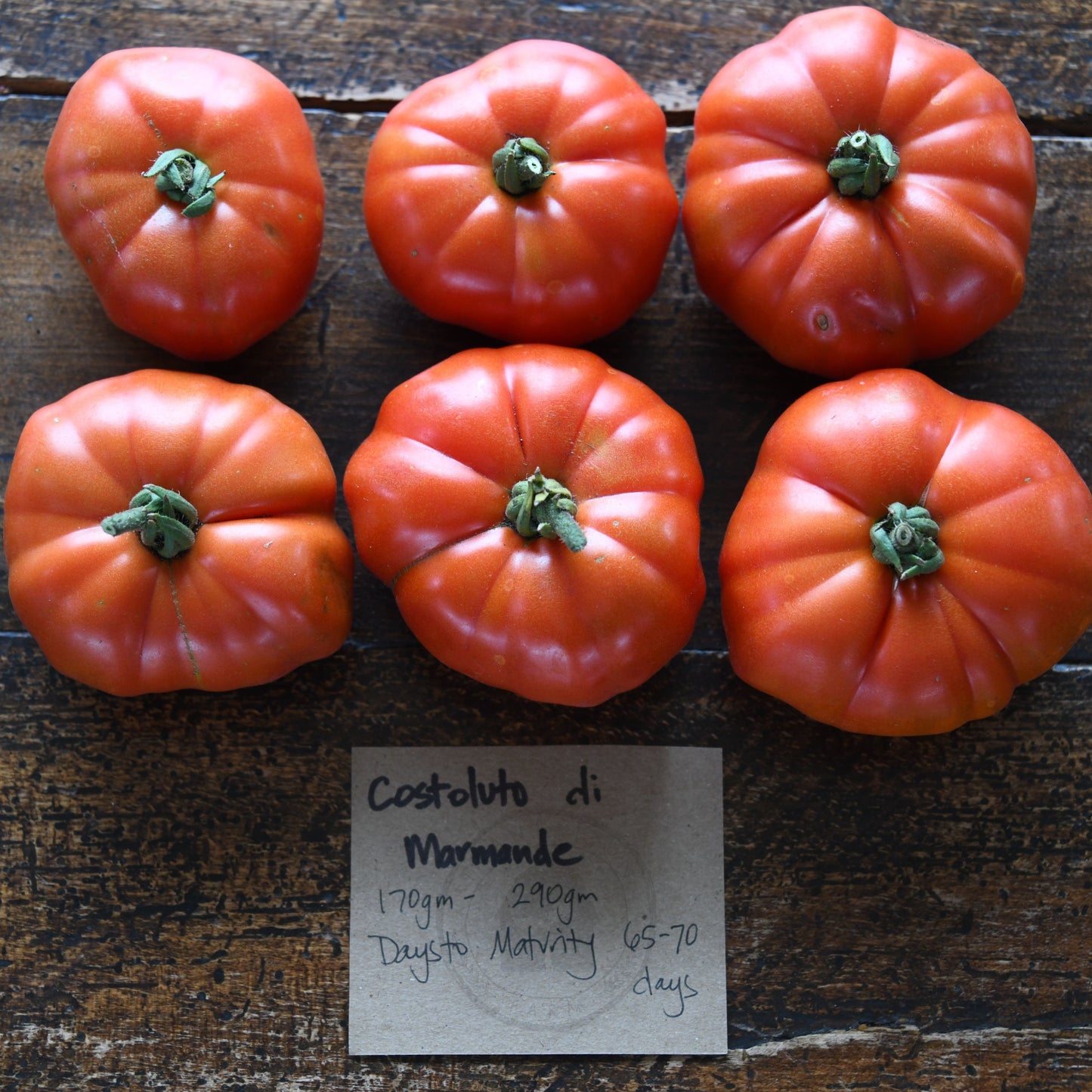 Tomato 'Costoluto di Marmande'