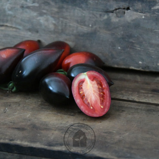 Tomato 'Midnight Roma'