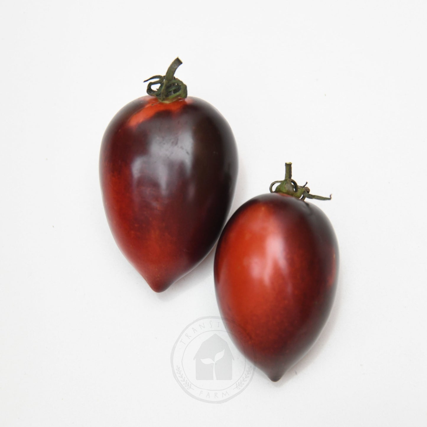 Tomato 'Midnight Roma'
